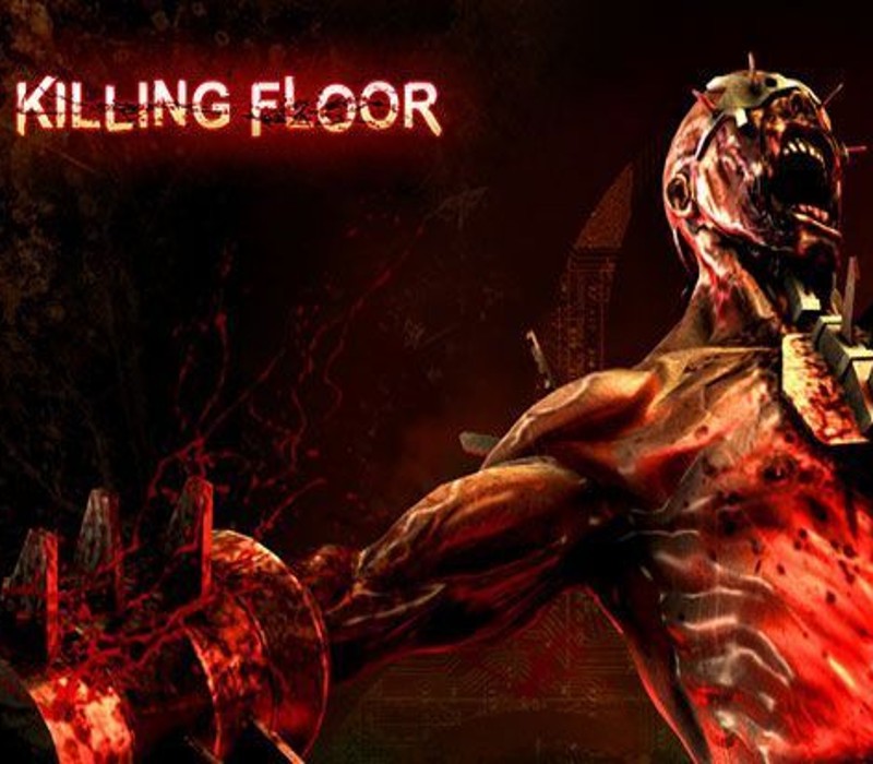 Killing Floor PL/CZ/SK/HU Steam CD Key